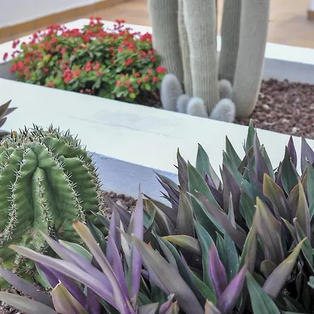 Appartamento Luxury Family Metres From Beach And Wifi Güimar